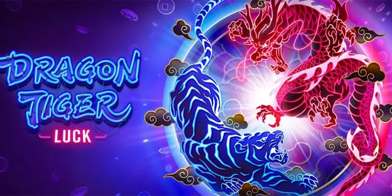 Basic Betting Options in MNL777 Casino Dragon & Tiger Daily